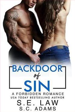 Backdoor of Sin (Forbidden Fantasies 62) by S.E. Law